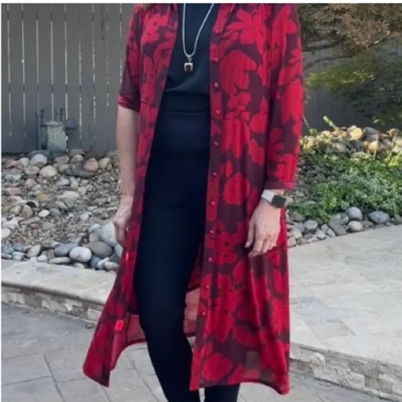 Cabi Shirt Dress Fire and Ice Collection #4392 Size Small - Picture 11 of 11